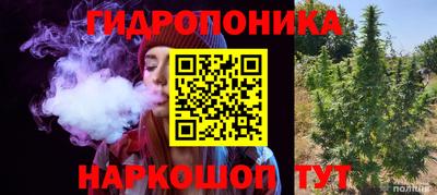 индика Первоуральск