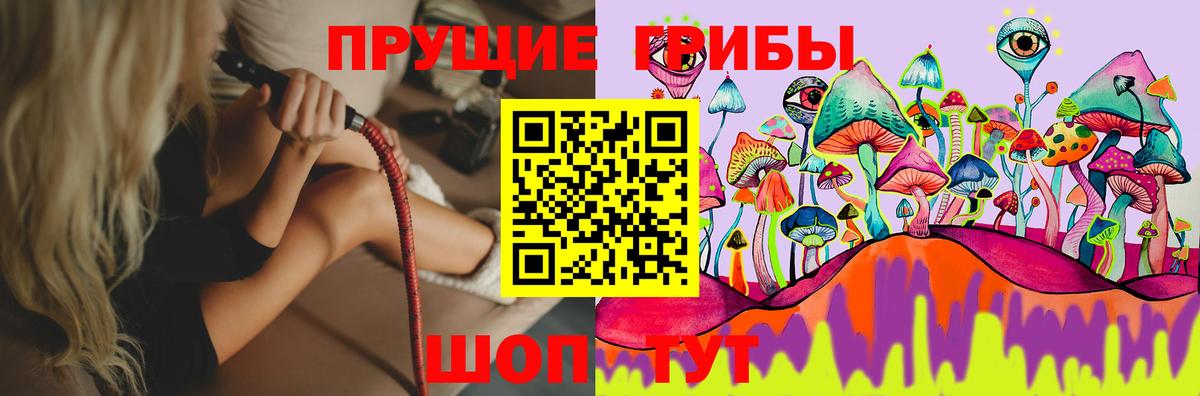 Сосновый Бор  Галлюциногенные грибы MAGIC MUSHROOMS  Псилоцибиновые грибы мицелий  Вход с VPN 