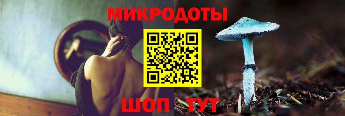 Галлюциногенные грибы прущие грибы Сосновый Бор